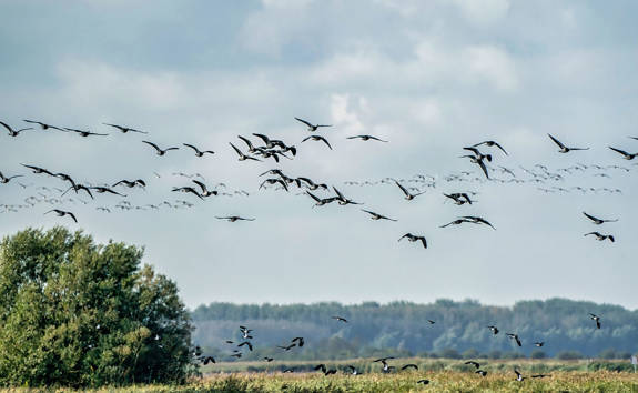 The Refinery Urban Suites Heraklion Crete 543904216