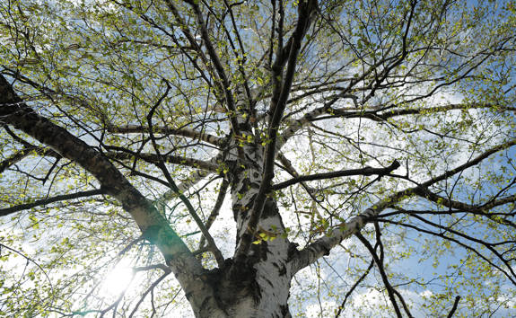 The Refinery Urban Suites Heraklion Crete 669012178