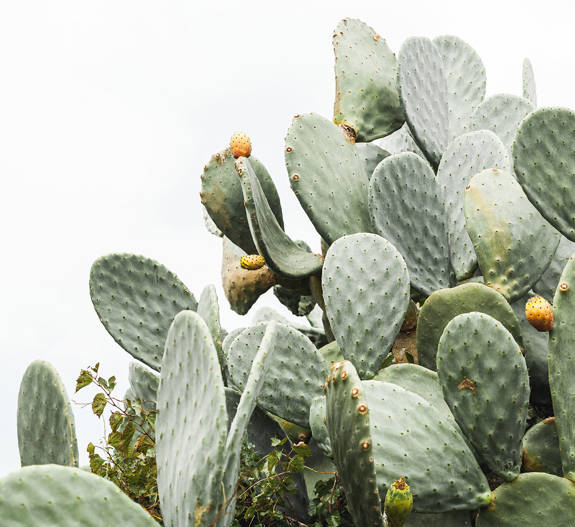 The Refinery Urban Suites Heraklion Crete 316702696