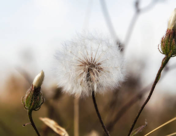 The Refinery Urban Suites Heraklion Crete 517183928